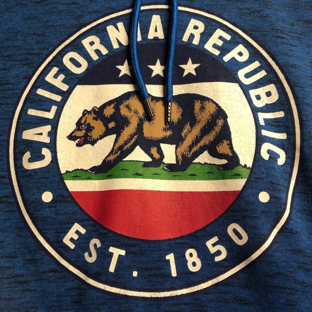 Fifth Sun California Republic Hoodie
